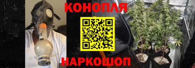 мяу мяу мука Будённовск