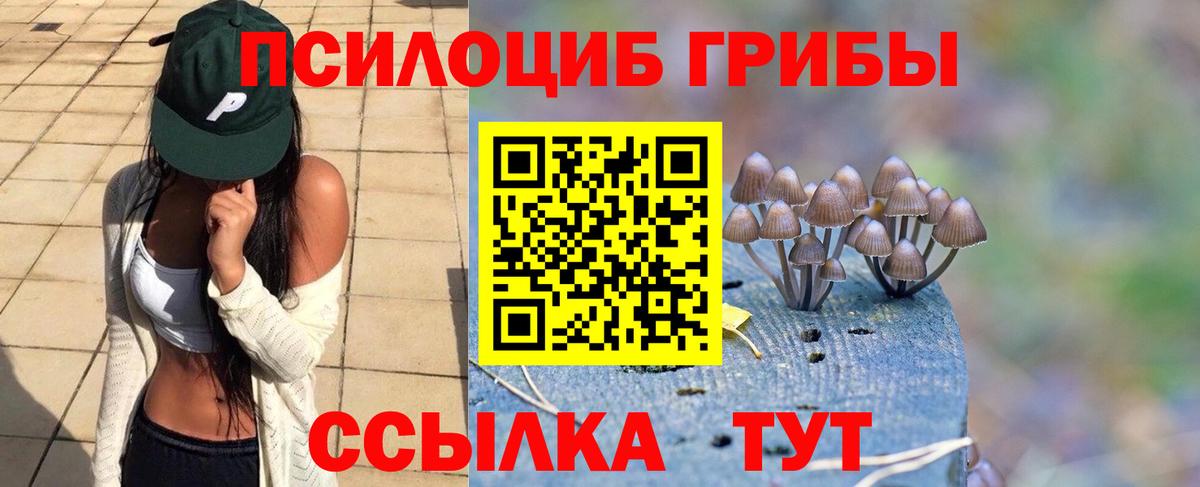 Галлюциногенные грибы MAGIC MUSHROOMS  Вход с VPN  Щёкино  Псилоцибиновые грибы прущие грибы 