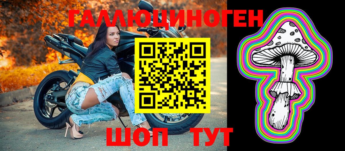 Галлюциногенные грибы Psilocybine cubensis Щёкино